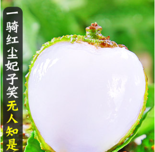 微信截图_20220726154630.png